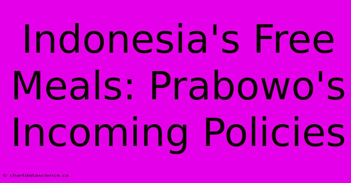 Indonesia's Free Meals: Prabowo's Incoming Policies