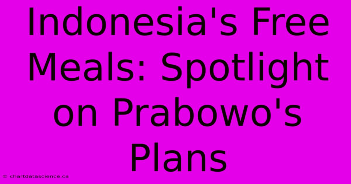 Indonesia's Free Meals: Spotlight On Prabowo's Plans