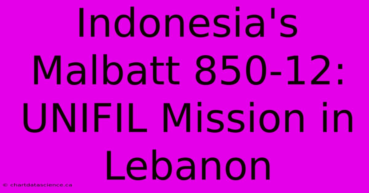 Indonesia's Malbatt 850-12: UNIFIL Mission In Lebanon 