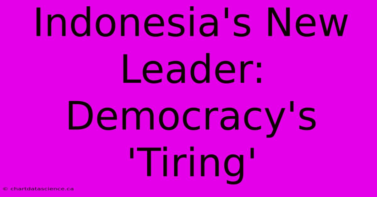 Indonesia's New Leader:  Democracy's 'Tiring'