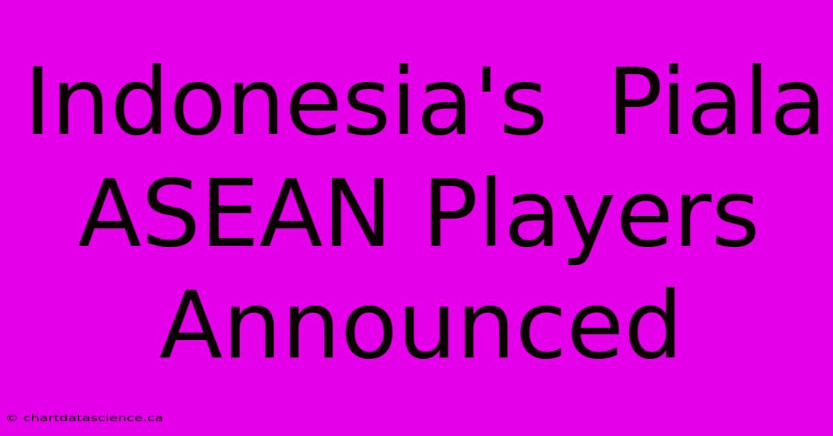 Indonesia's  Piala ASEAN Players Announced