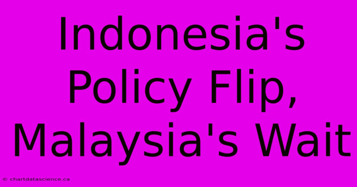 Indonesia's Policy Flip, Malaysia's Wait