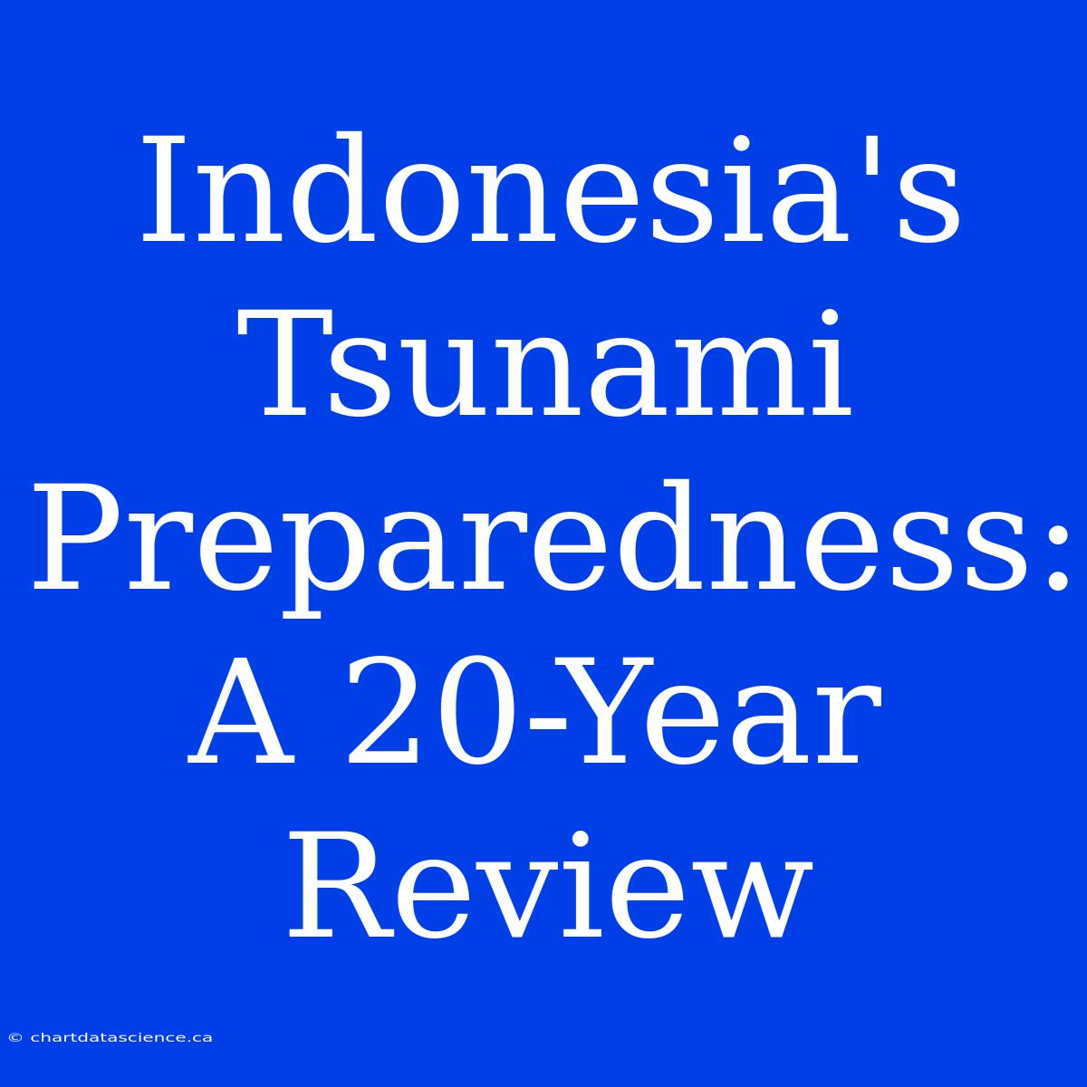 Indonesia's Tsunami Preparedness: A 20-Year Review