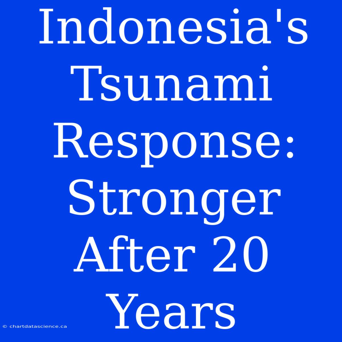 Indonesia's Tsunami Response: Stronger After 20 Years