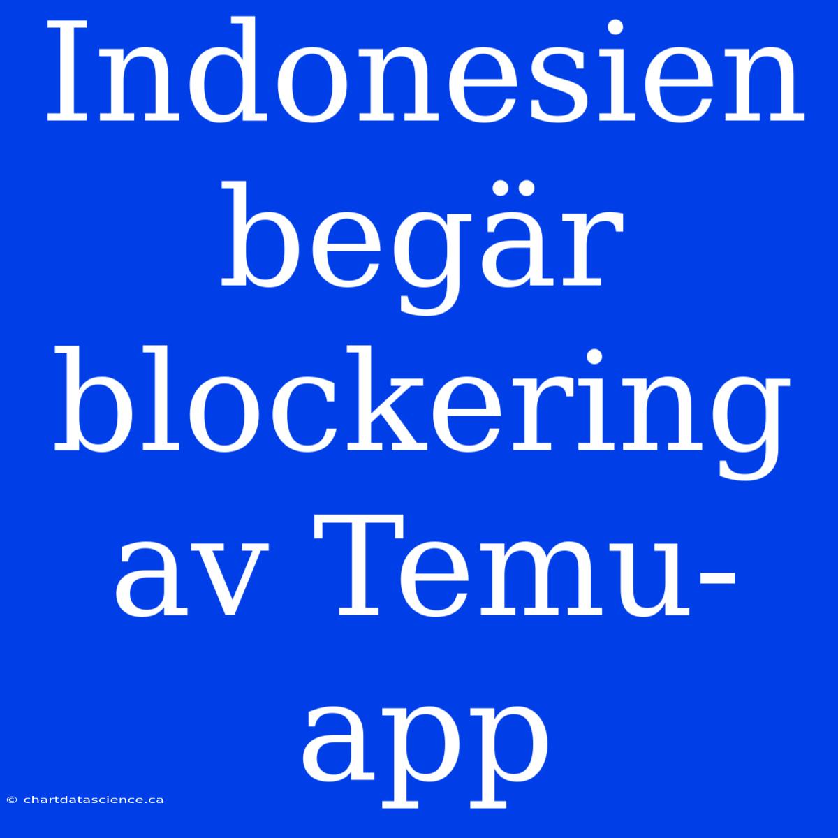 Indonesien Begär Blockering Av Temu-app