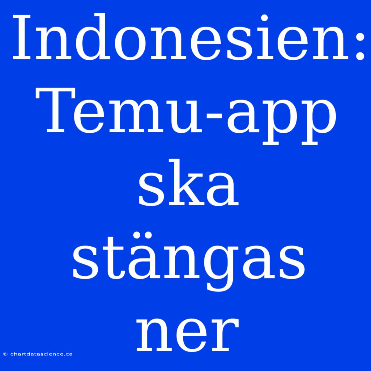 Indonesien: Temu-app Ska Stängas Ner