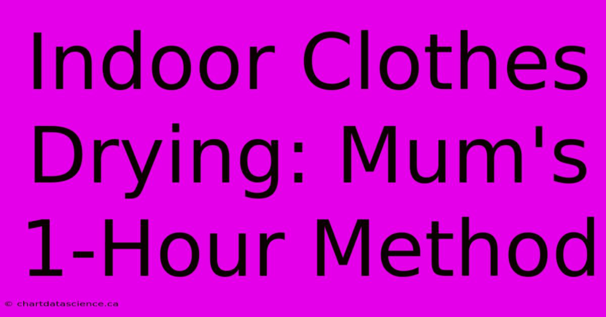 Indoor Clothes Drying: Mum's 1-Hour Method 