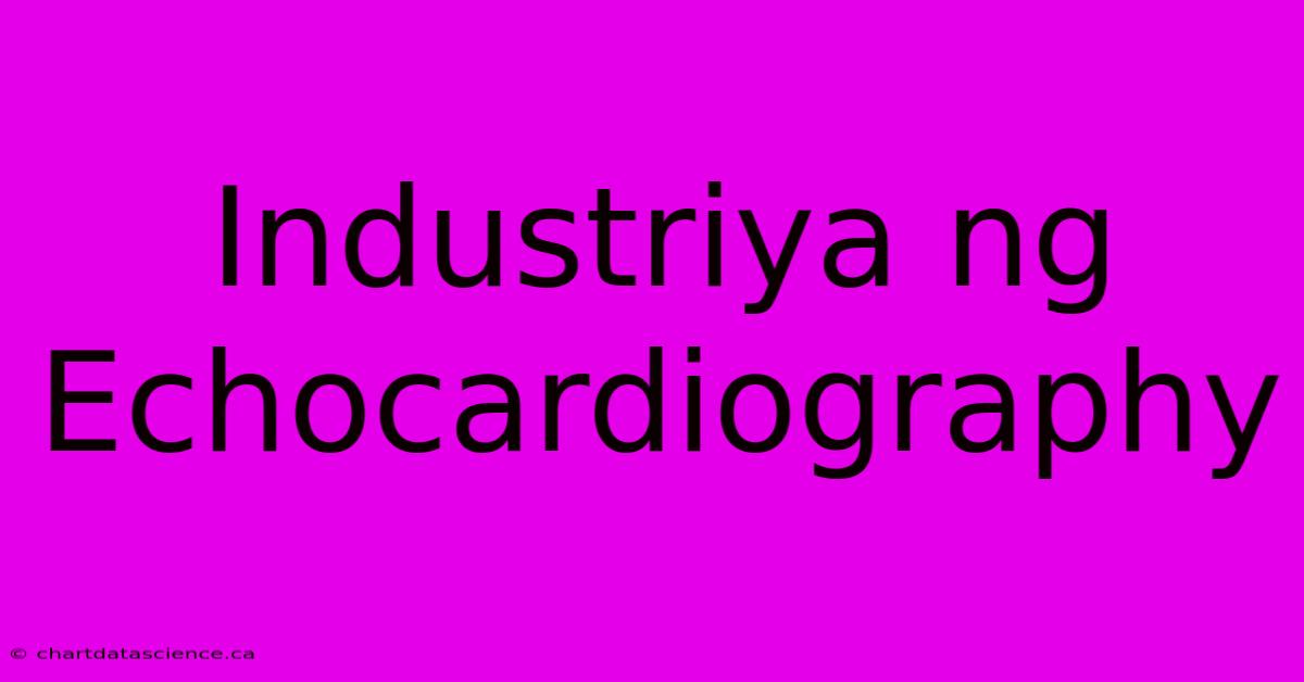 Industriya Ng Echocardiography 