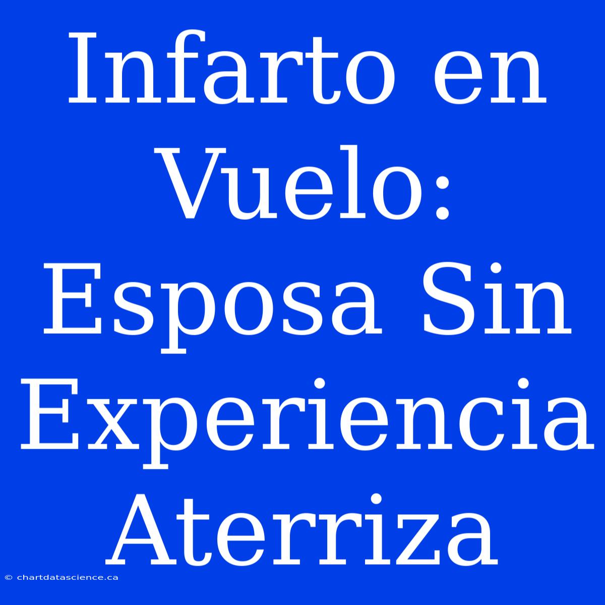 Infarto En Vuelo: Esposa Sin Experiencia Aterriza