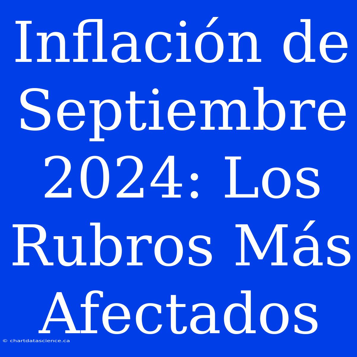 Inflación De Septiembre 2024: Los Rubros Más Afectados