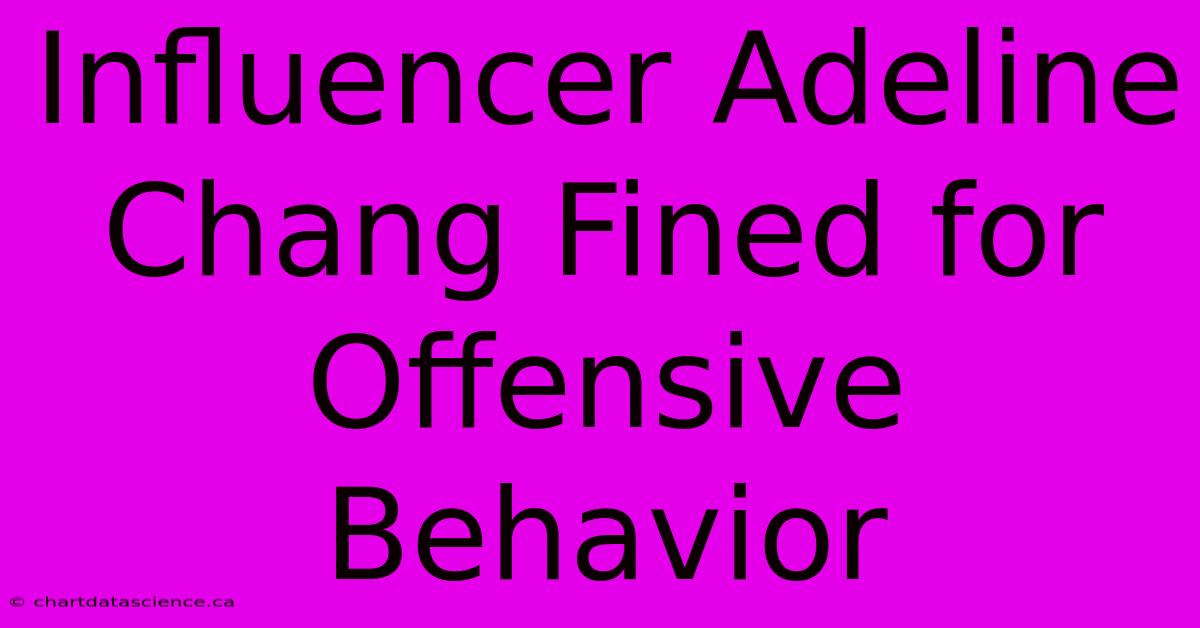 Influencer Adeline Chang Fined For Offensive Behavior