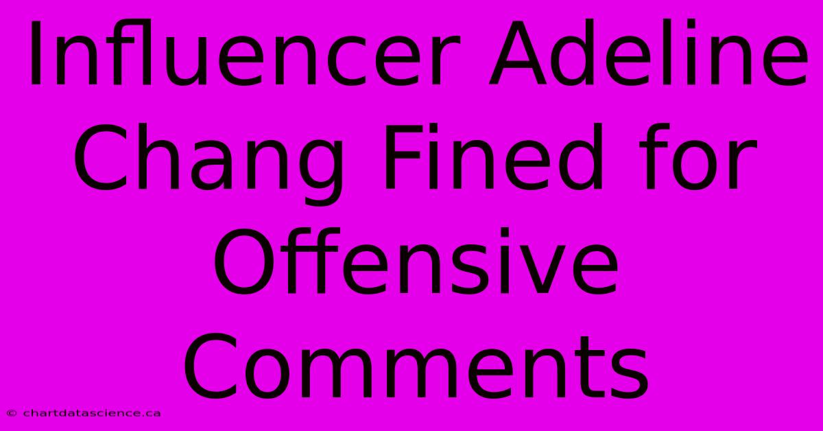 Influencer Adeline Chang Fined For Offensive Comments