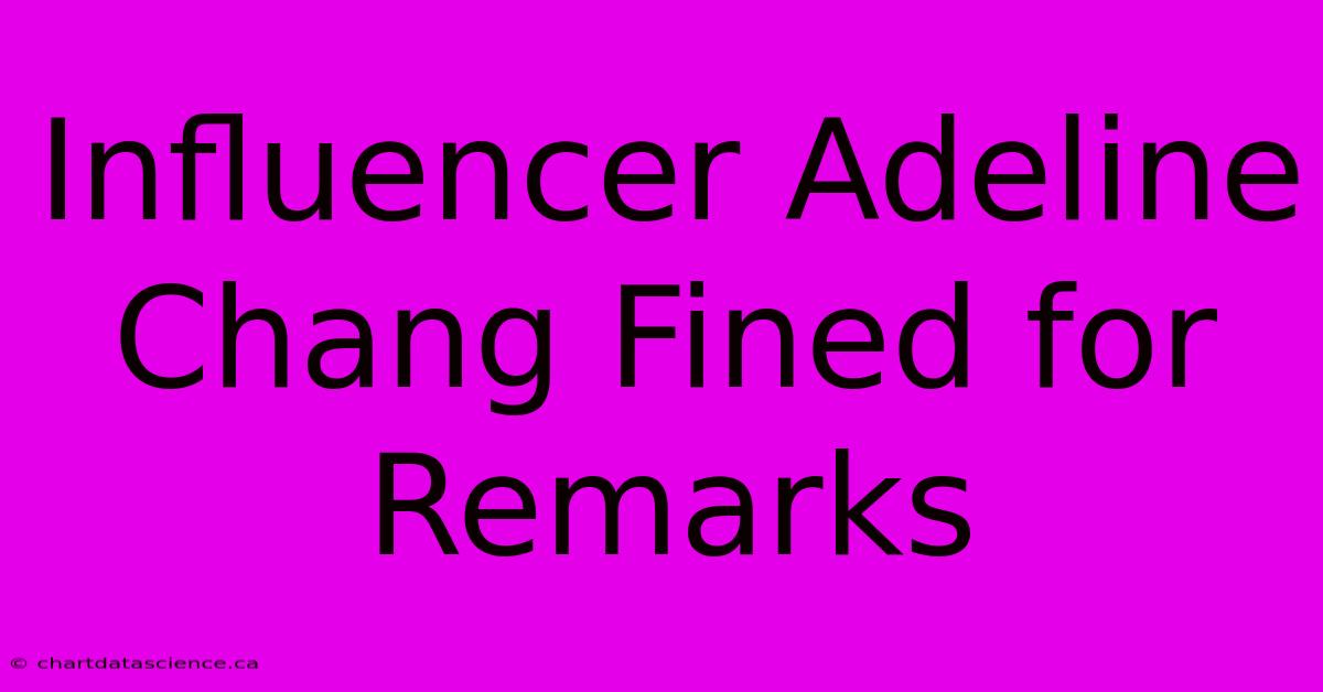 Influencer Adeline Chang Fined For Remarks