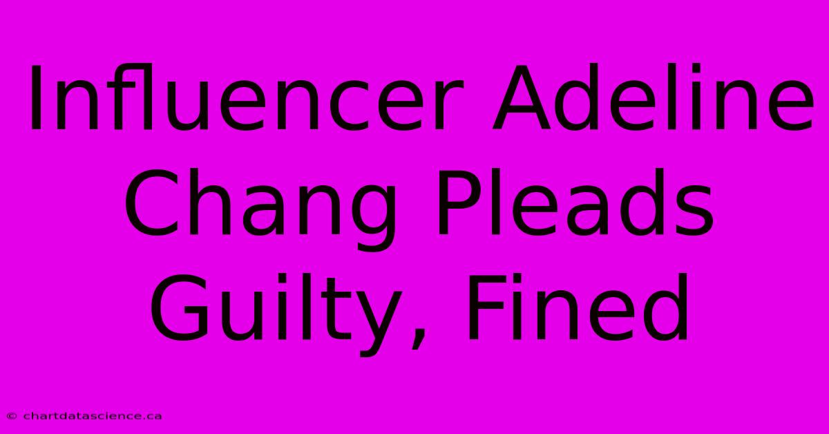 Influencer Adeline Chang Pleads Guilty, Fined