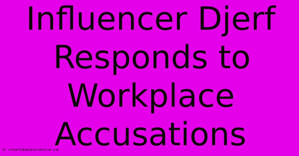 Influencer Djerf Responds To Workplace Accusations