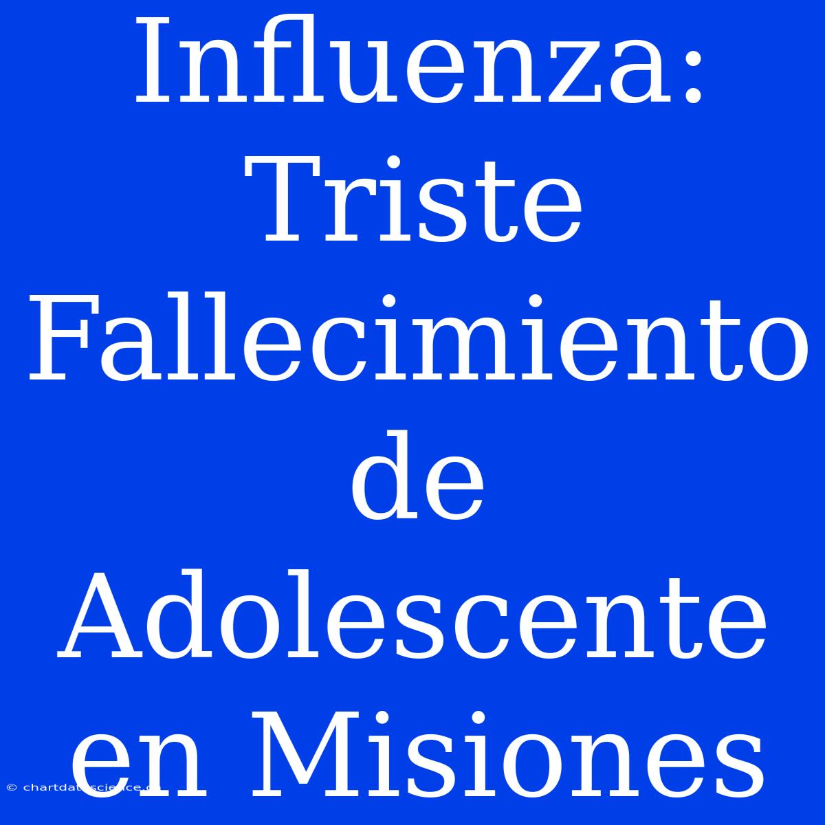 Influenza: Triste Fallecimiento De Adolescente En Misiones