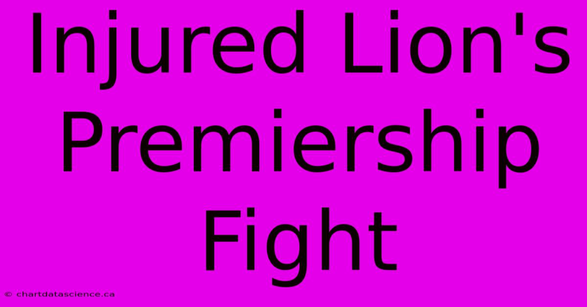 Injured Lion's Premiership Fight