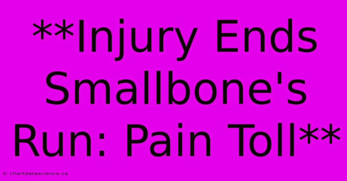 **Injury Ends Smallbone's Run: Pain Toll**