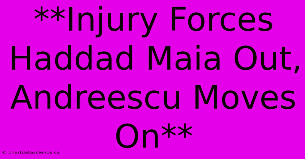 **Injury Forces Haddad Maia Out, Andreescu Moves On**