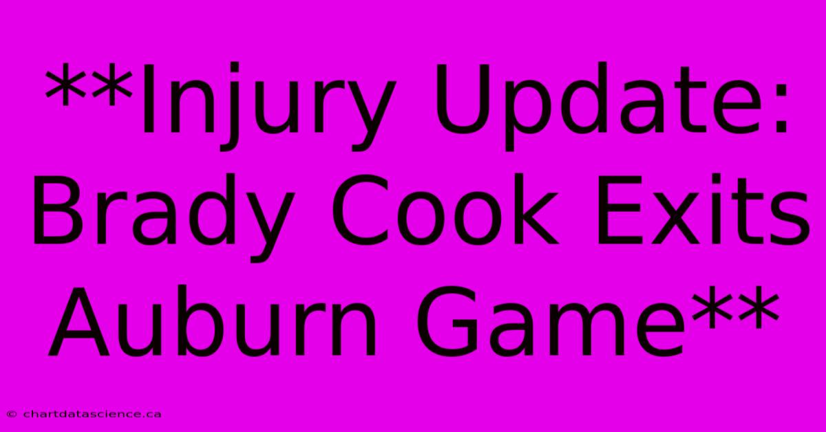 **Injury Update: Brady Cook Exits Auburn Game**