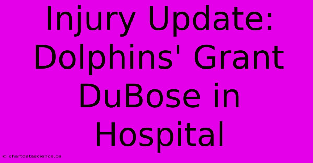 Injury Update: Dolphins' Grant DuBose In Hospital