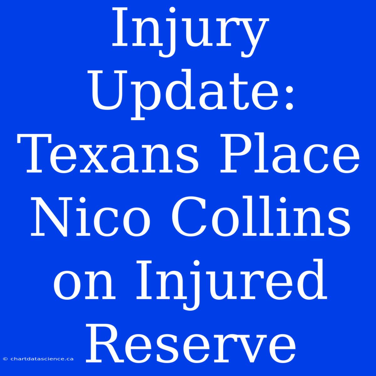 Injury Update: Texans Place Nico Collins On Injured Reserve