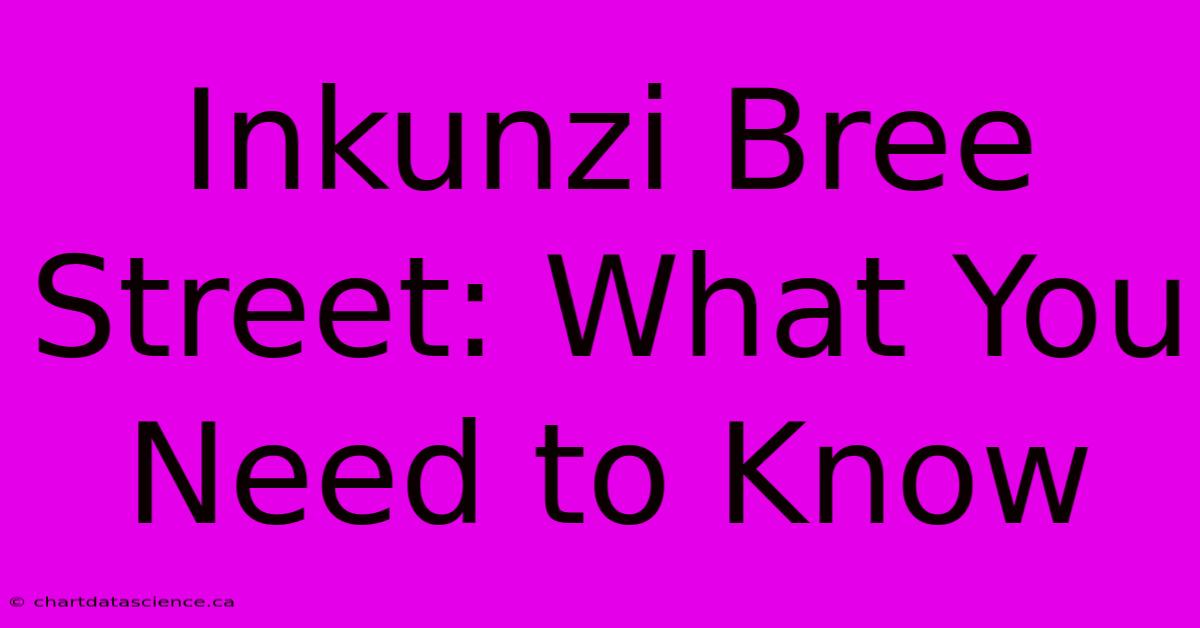 Inkunzi Bree Street: What You Need To Know