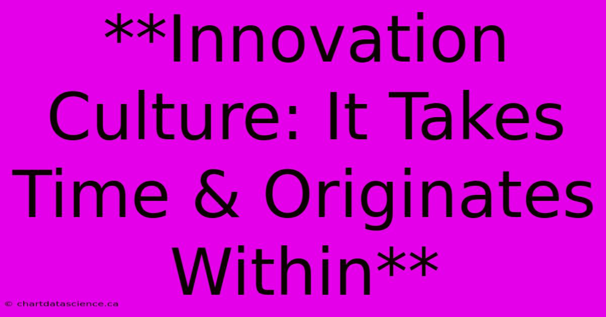 **Innovation Culture: It Takes Time & Originates Within** 