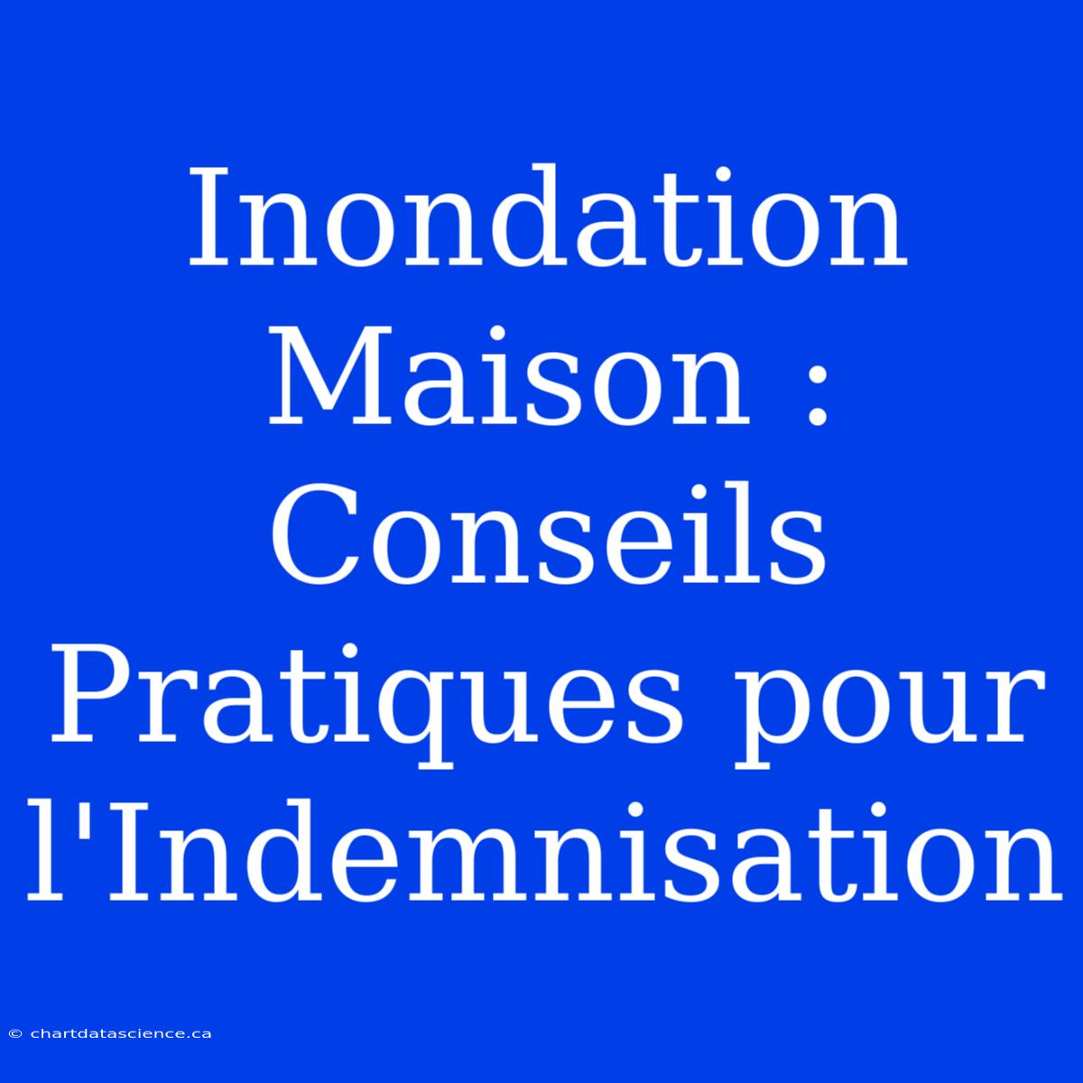 Inondation Maison :  Conseils Pratiques Pour L'Indemnisation