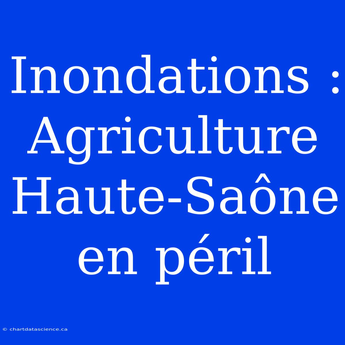 Inondations : Agriculture Haute-Saône En Péril