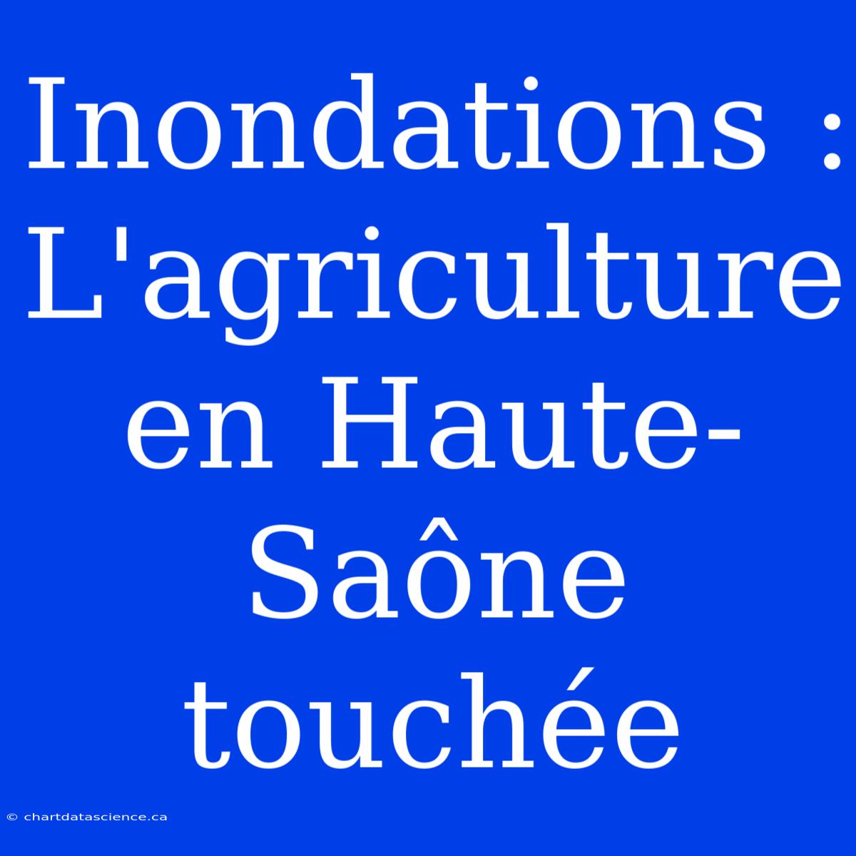 Inondations : L'agriculture En Haute-Saône Touchée