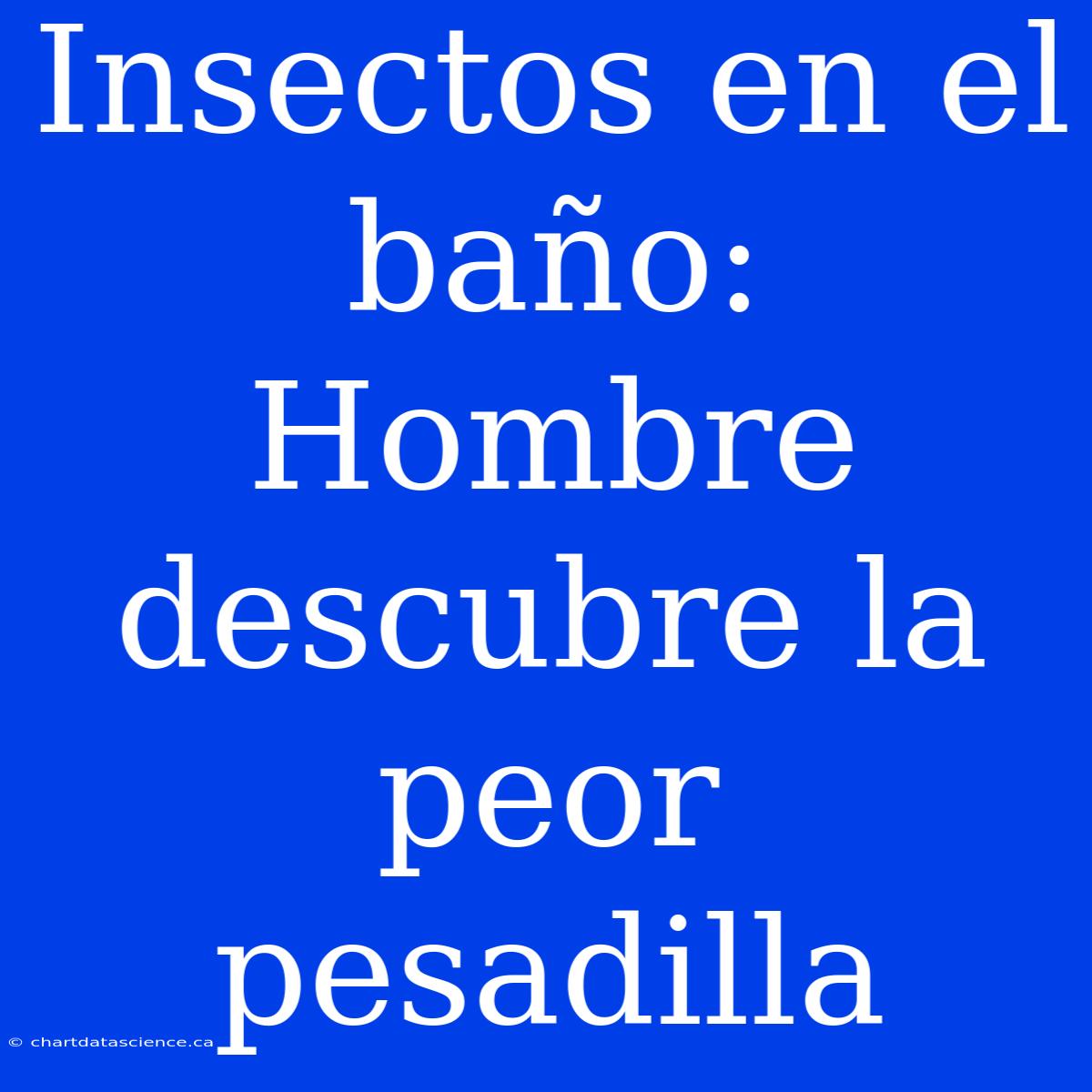 Insectos En El Baño: Hombre Descubre La Peor Pesadilla