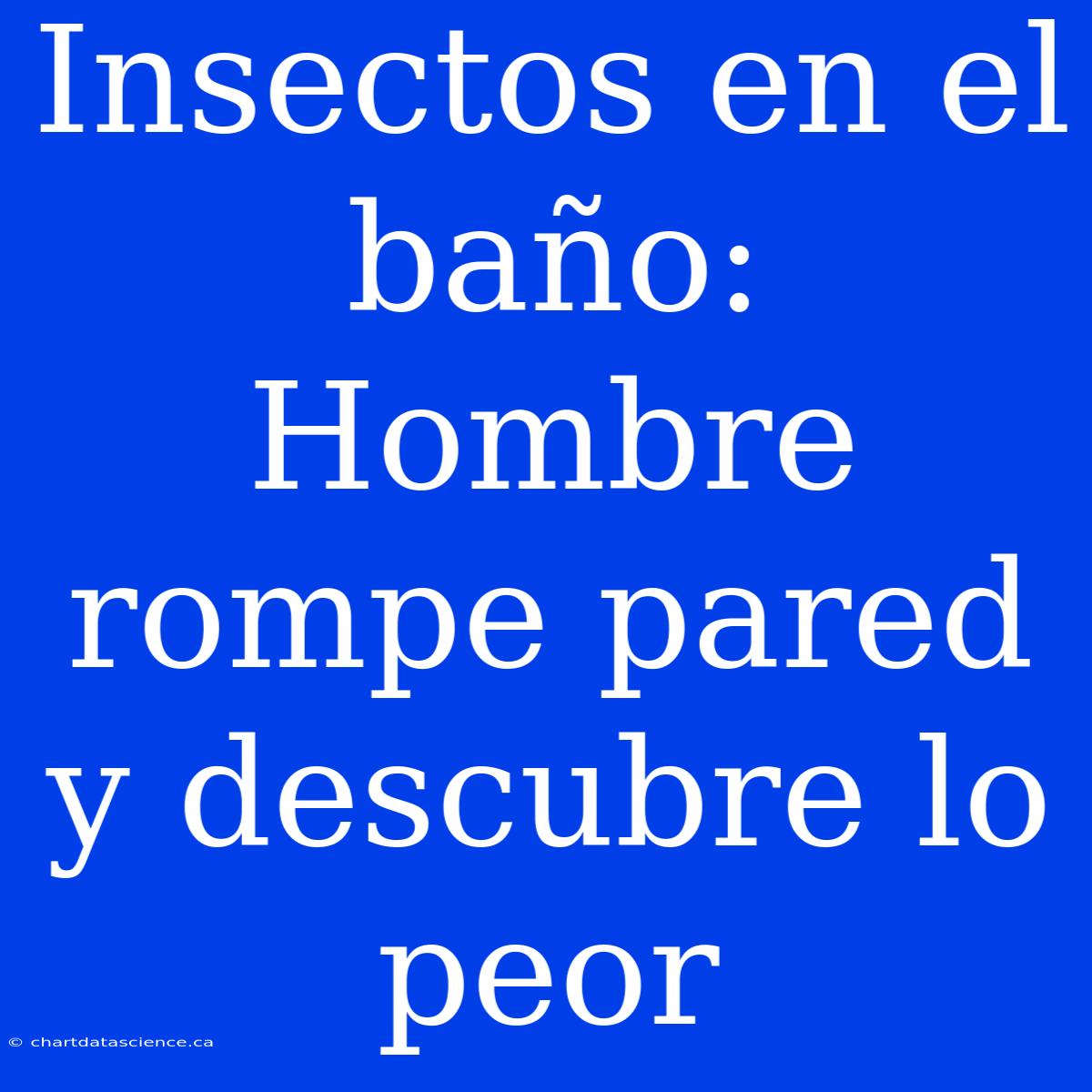 Insectos En El Baño: Hombre Rompe Pared Y Descubre Lo Peor