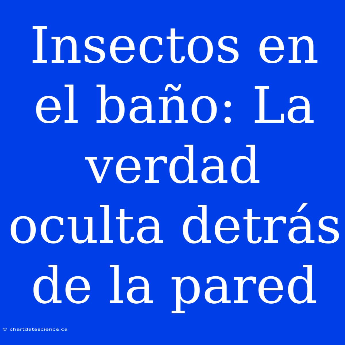 Insectos En El Baño: La Verdad Oculta Detrás De La Pared