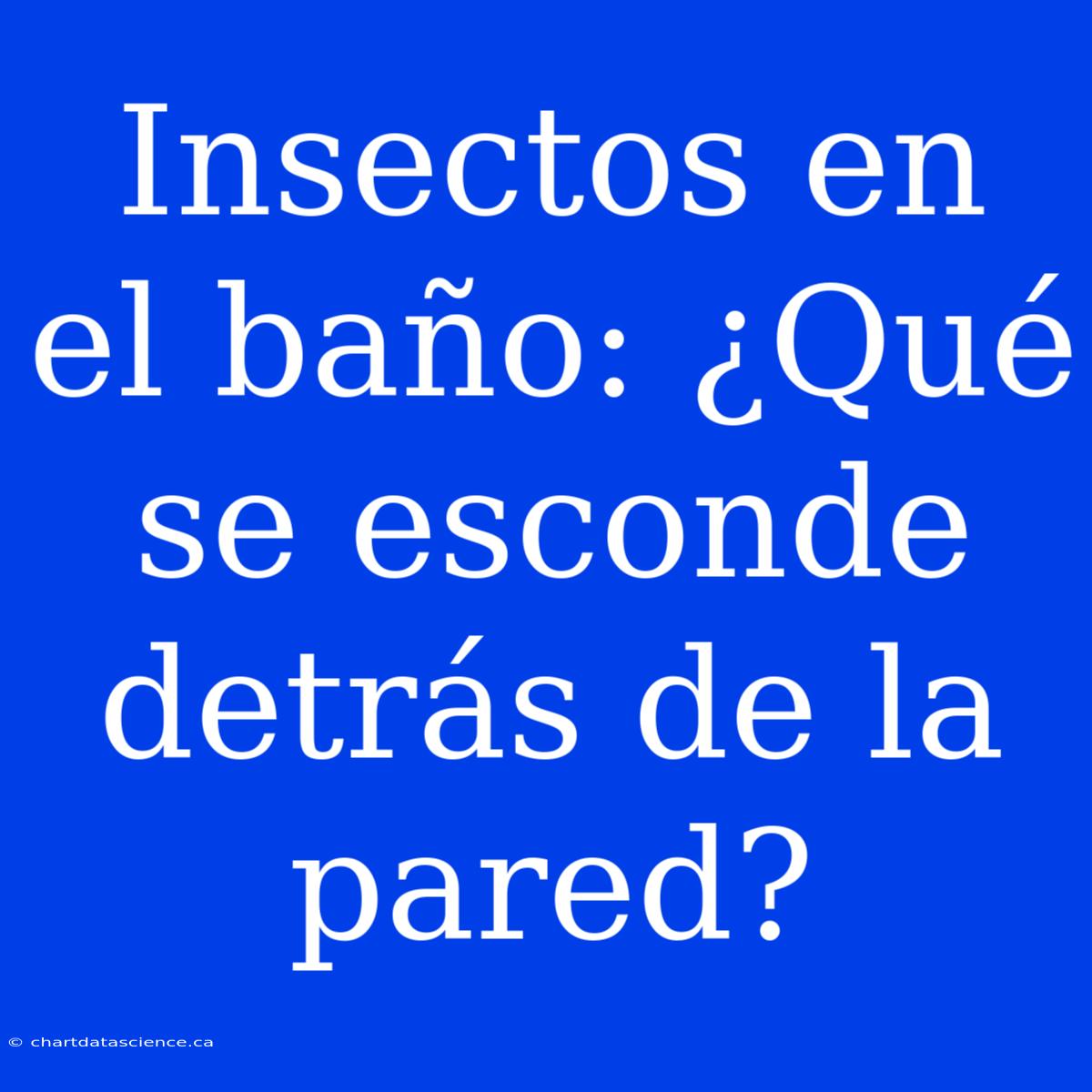 Insectos En El Baño: ¿Qué Se Esconde Detrás De La Pared?