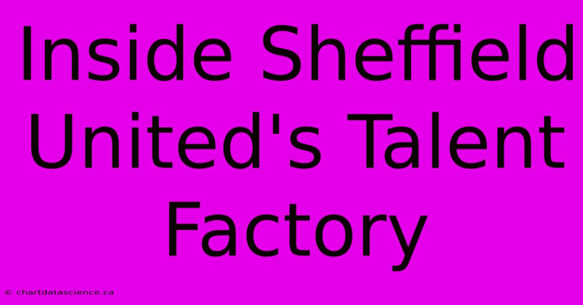 Inside Sheffield United's Talent Factory