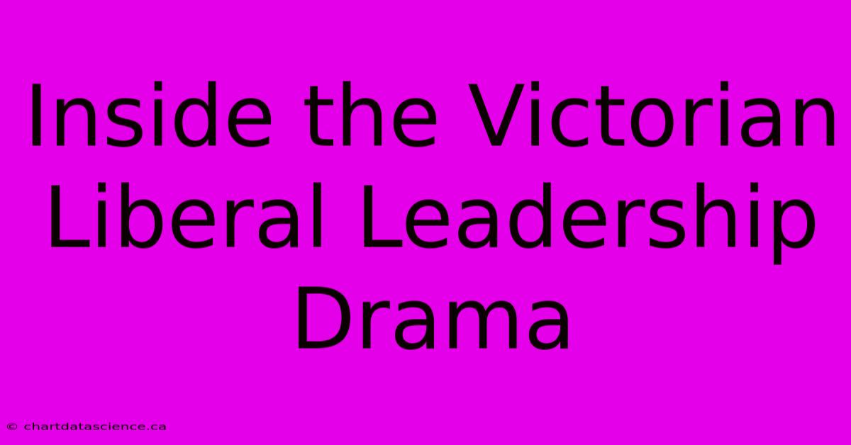 Inside The Victorian Liberal Leadership Drama