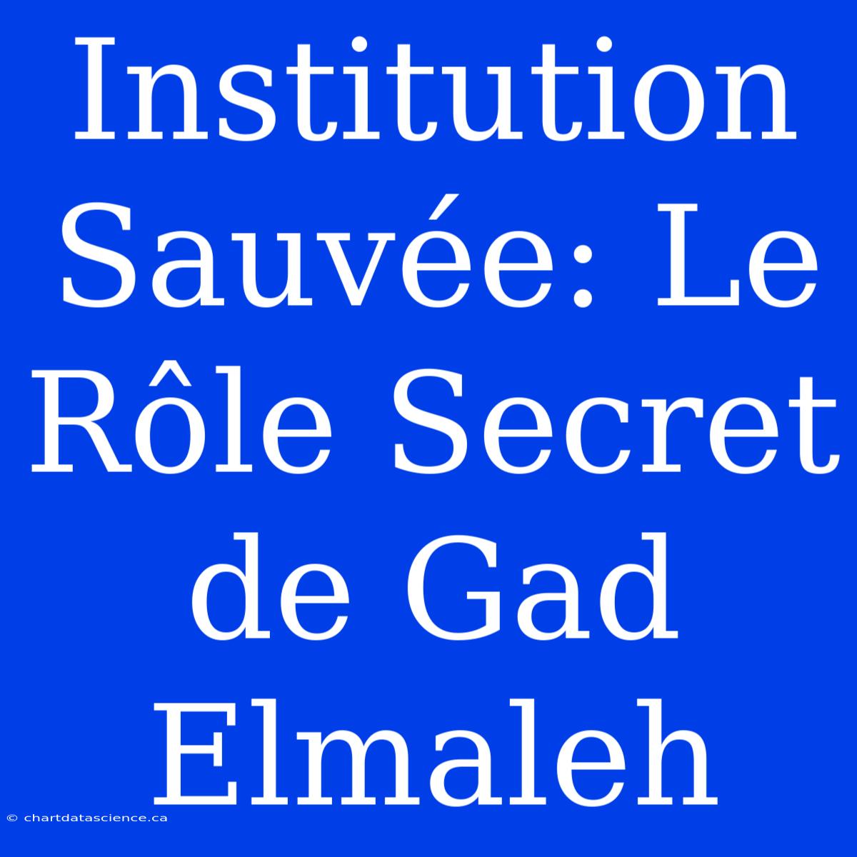 Institution Sauvée: Le Rôle Secret De Gad Elmaleh