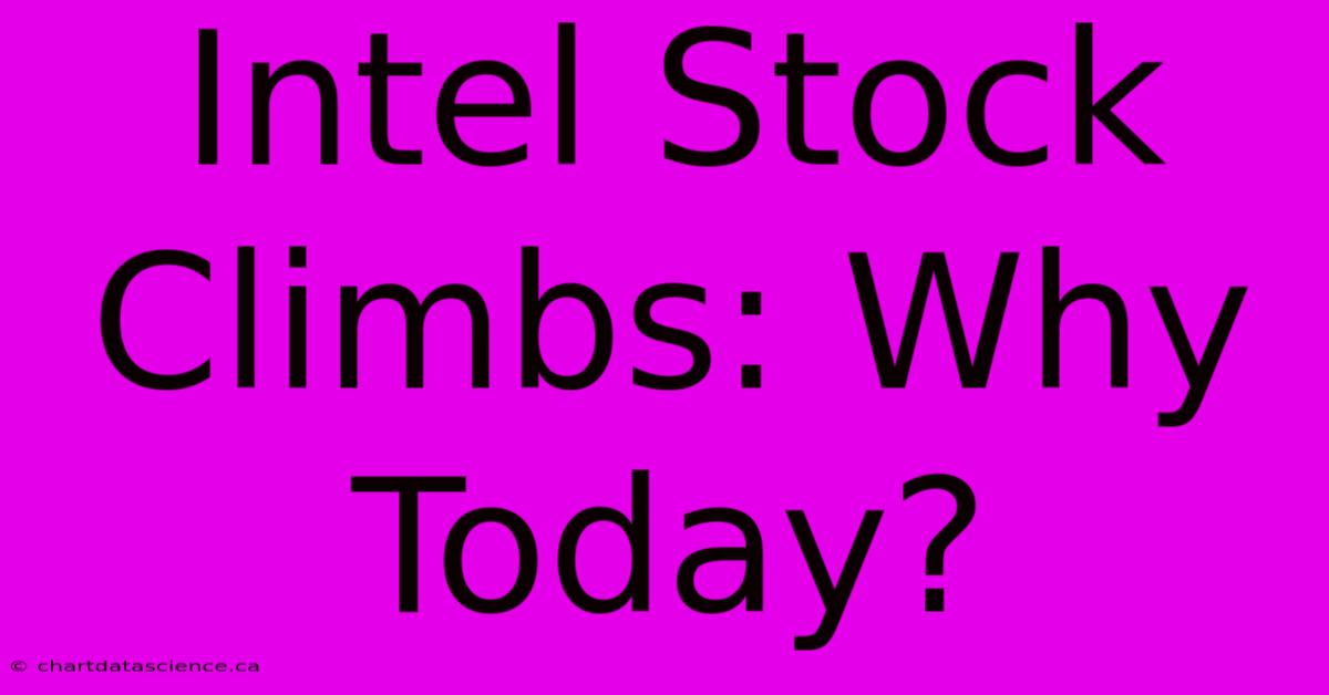 Intel Stock Climbs: Why Today?