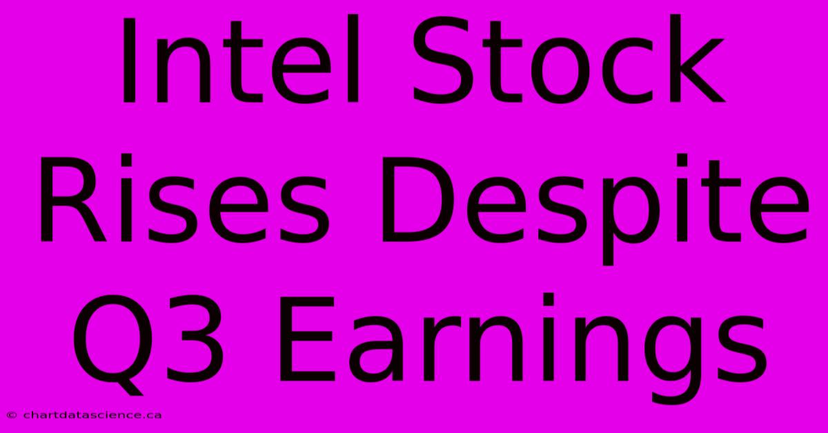 Intel Stock Rises Despite Q3 Earnings