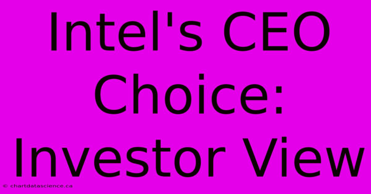 Intel's CEO Choice: Investor View