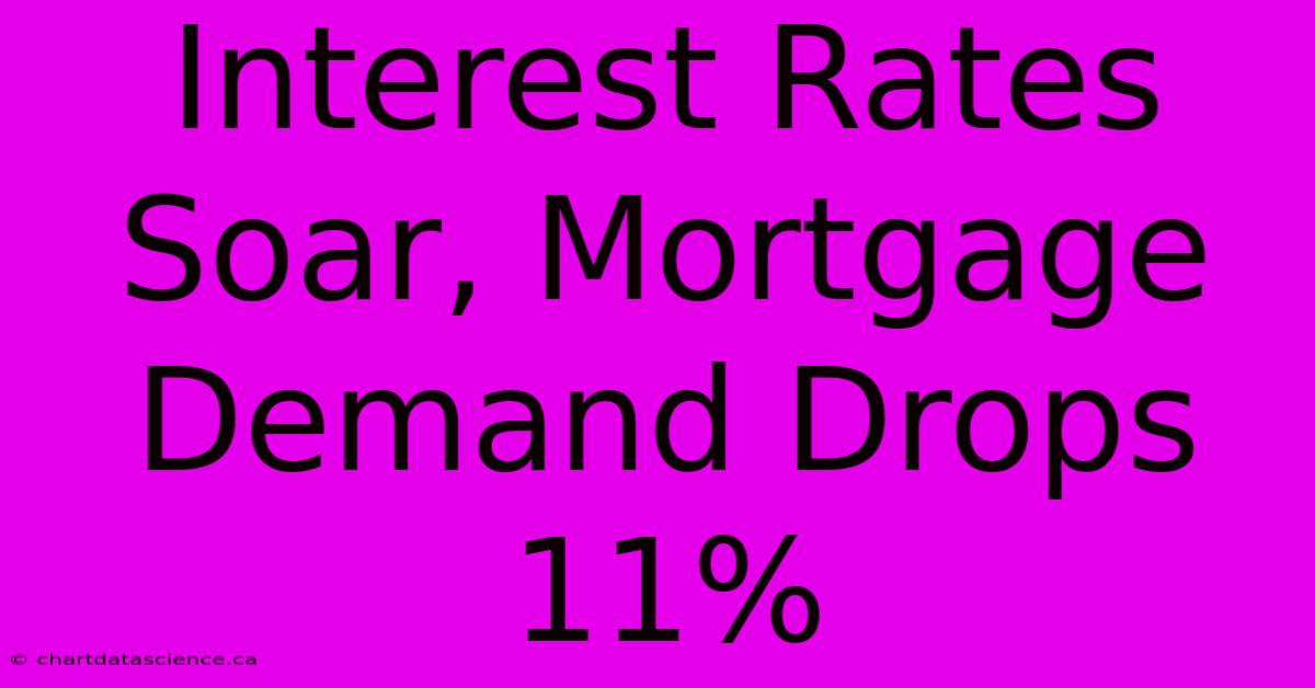 Interest Rates Soar, Mortgage Demand Drops 11%