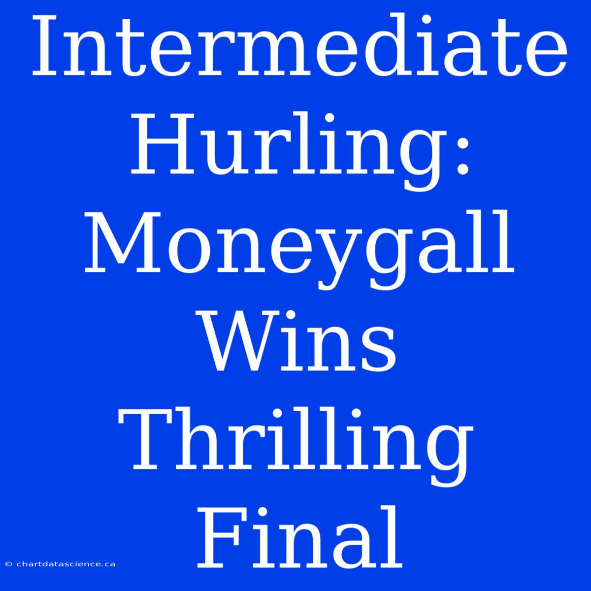 Intermediate Hurling: Moneygall Wins Thrilling Final