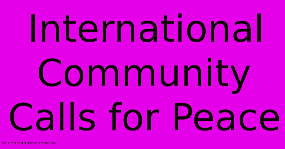 International Community Calls For Peace