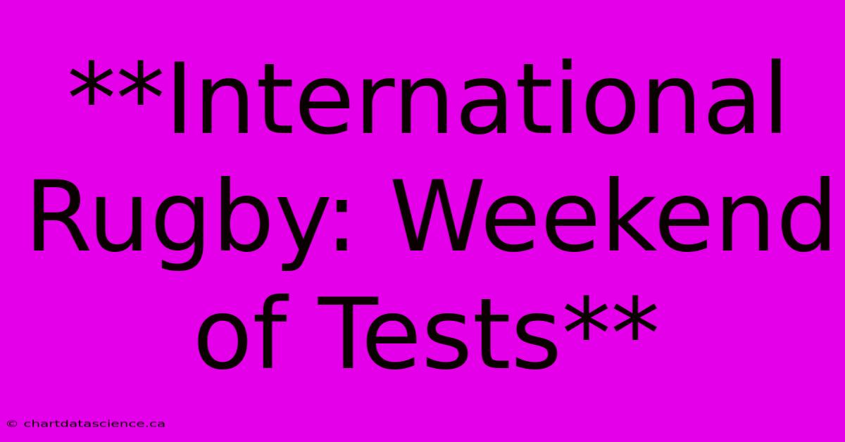 **International Rugby: Weekend Of Tests**