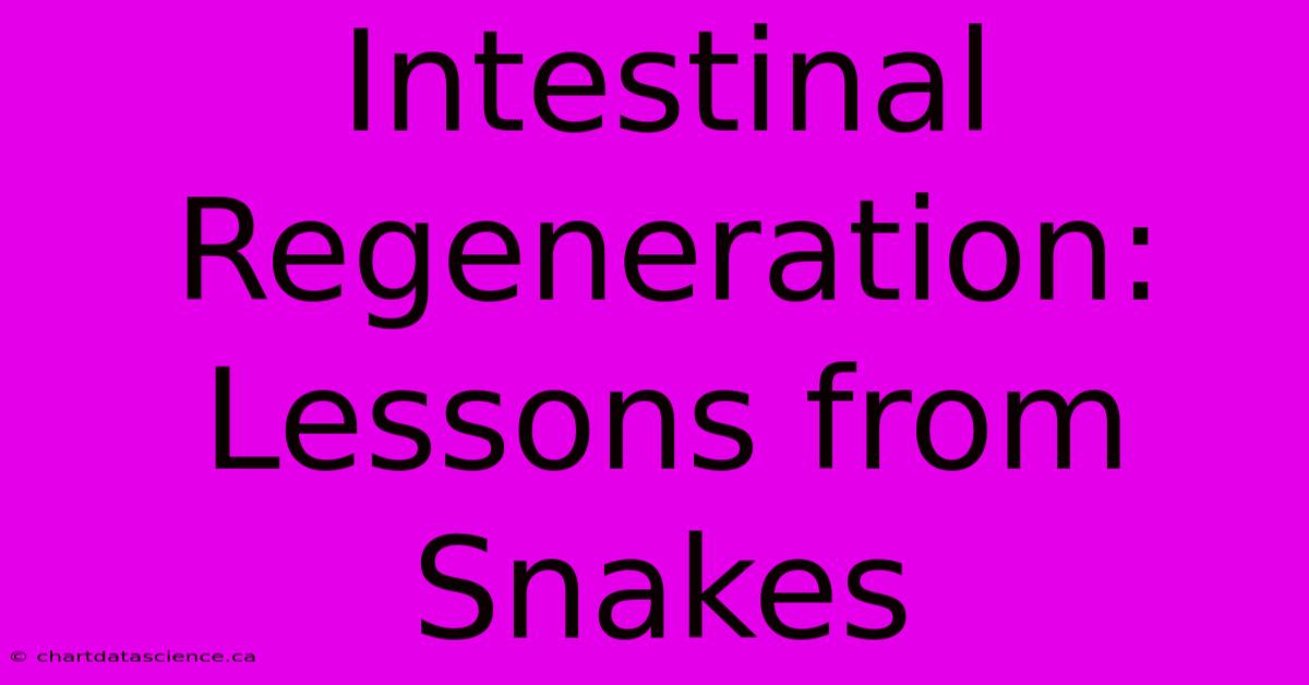 Intestinal Regeneration:  Lessons From Snakes