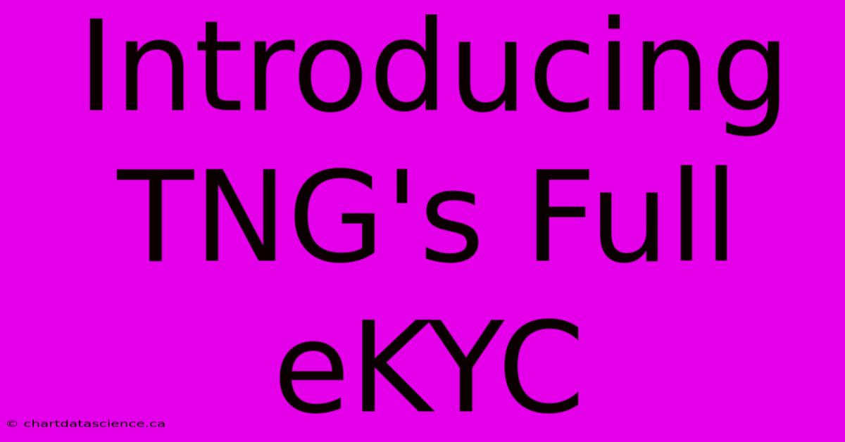 Introducing TNG's Full EKYC