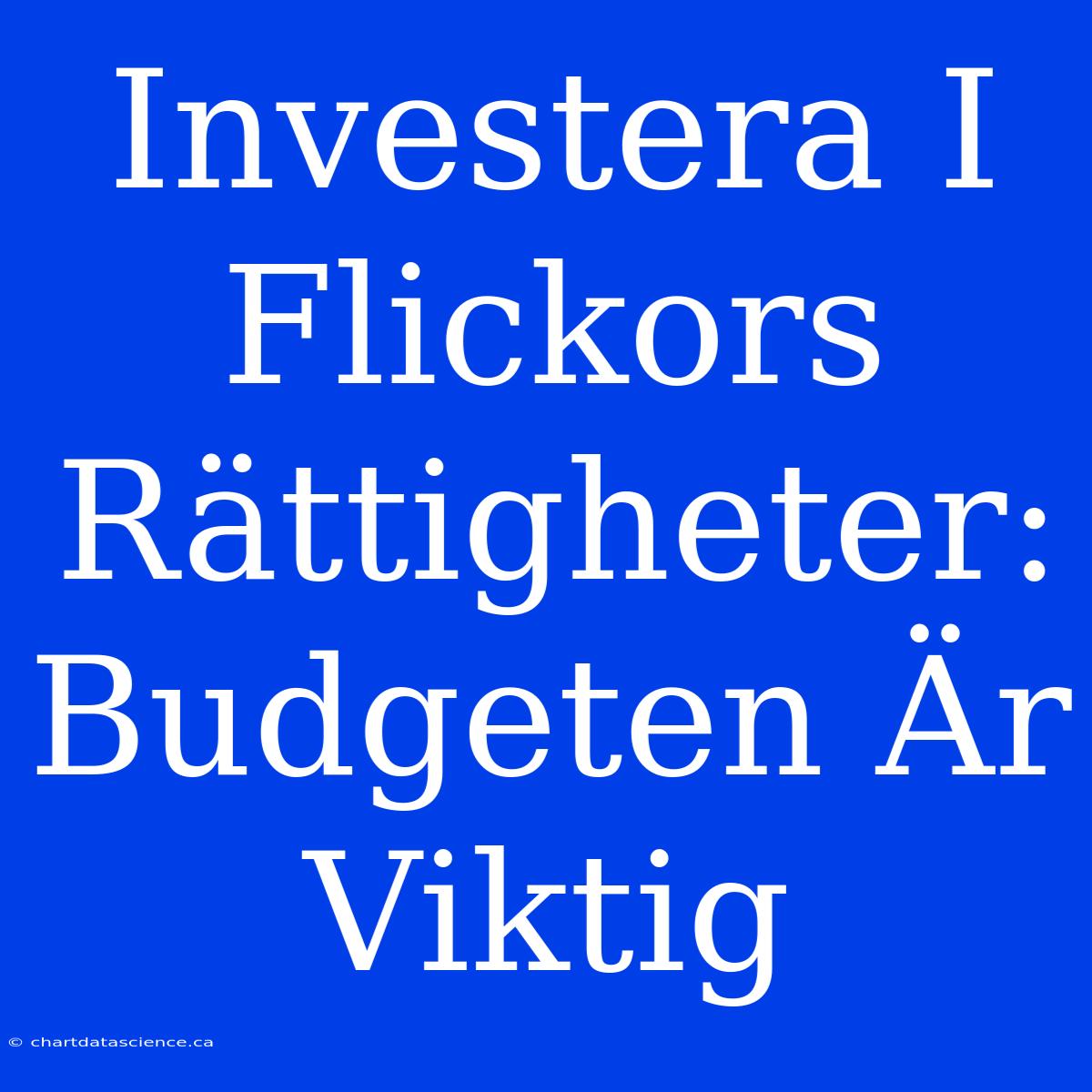 Investera I Flickors Rättigheter: Budgeten Är Viktig