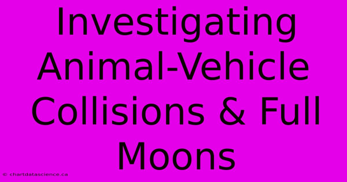 Investigating Animal-Vehicle Collisions & Full Moons