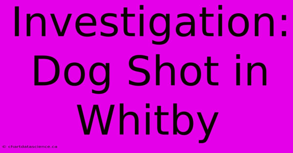 Investigation: Dog Shot In Whitby